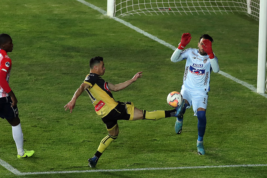 Coquimbo Unido consigue histórica clasificación a semifinales pese a caer frente a Junior 